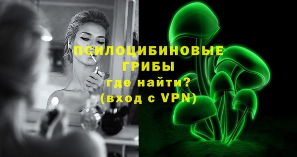 молекула духа Мегион