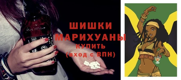 молекула духа Мегион