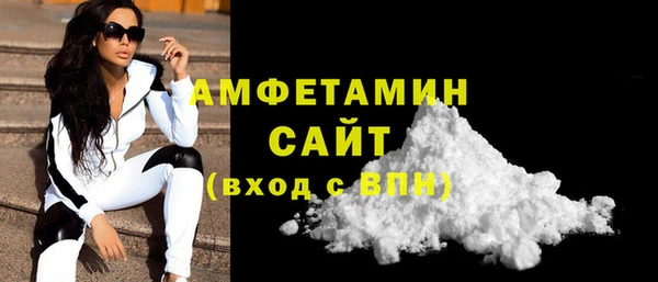 СК Алексин