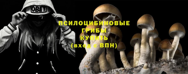 СК Алексин