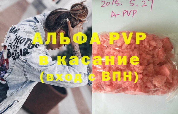 СК Алексин