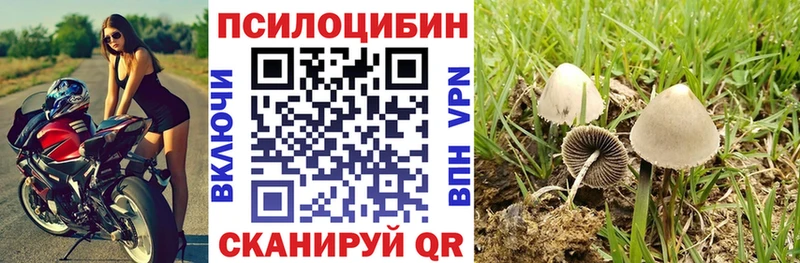 Галлюциногенные грибы GOLDEN TEACHER  что такое   Чусовой 