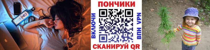купить наркоту  Чусовой  Бошки Шишки план 